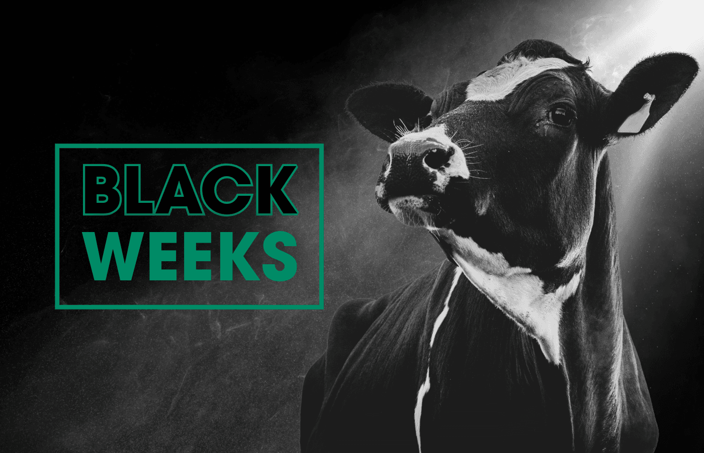 Black Weeks on täällä!