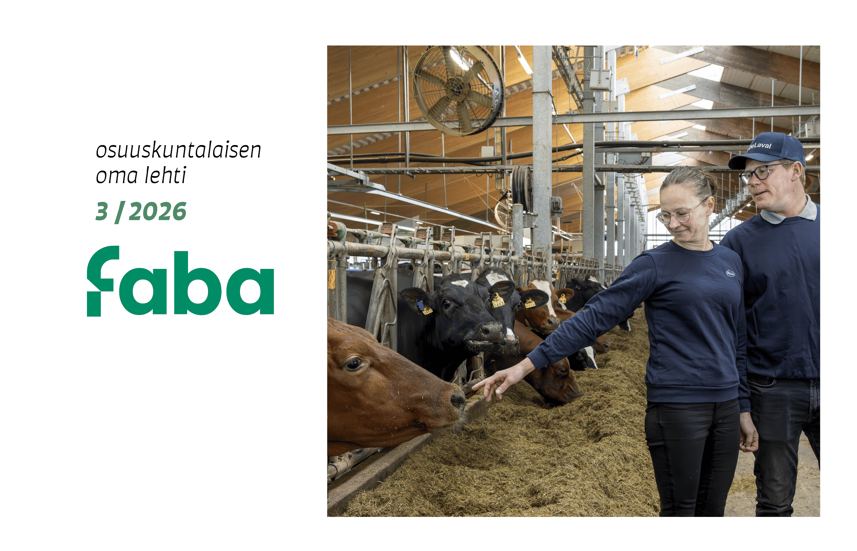 Faba-lehti